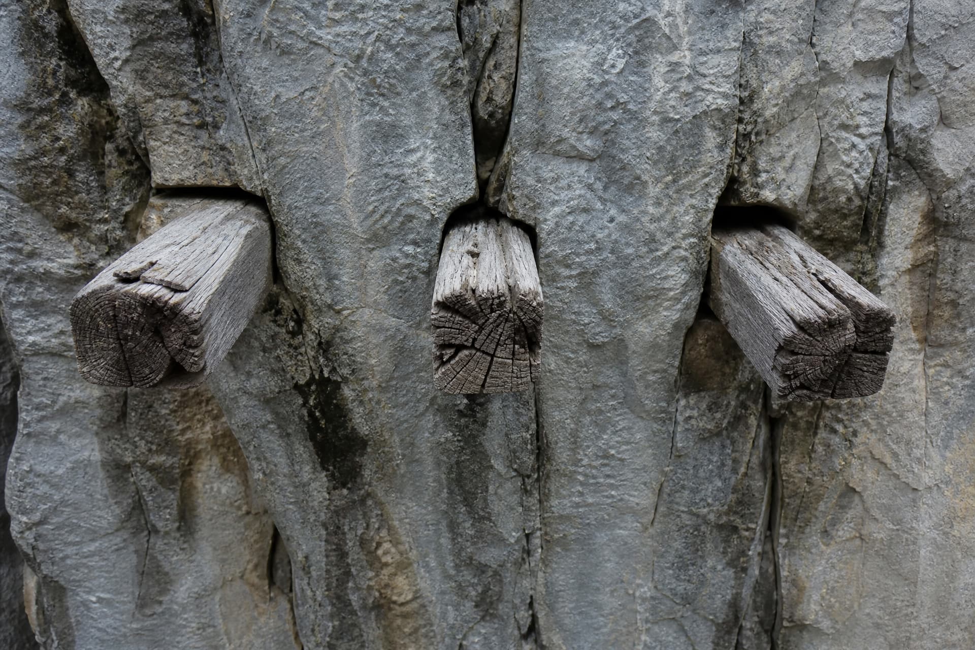 Weathered wooden beams protruding from cracks in a gray rock face, seen close up, with no coffins in frame