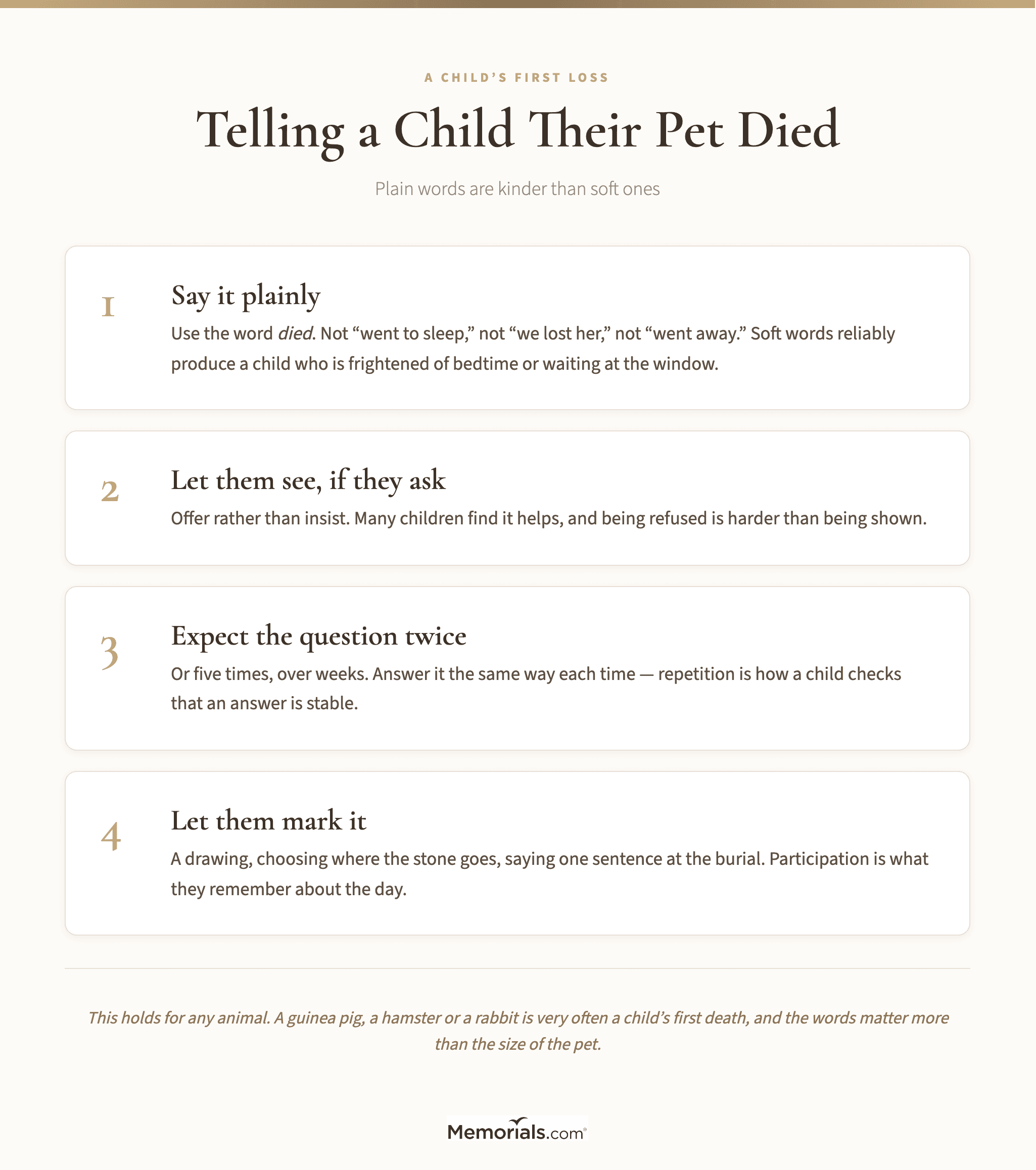 Four steps for telling a child their guinea pig has died, from the words to use through to letting them mark it