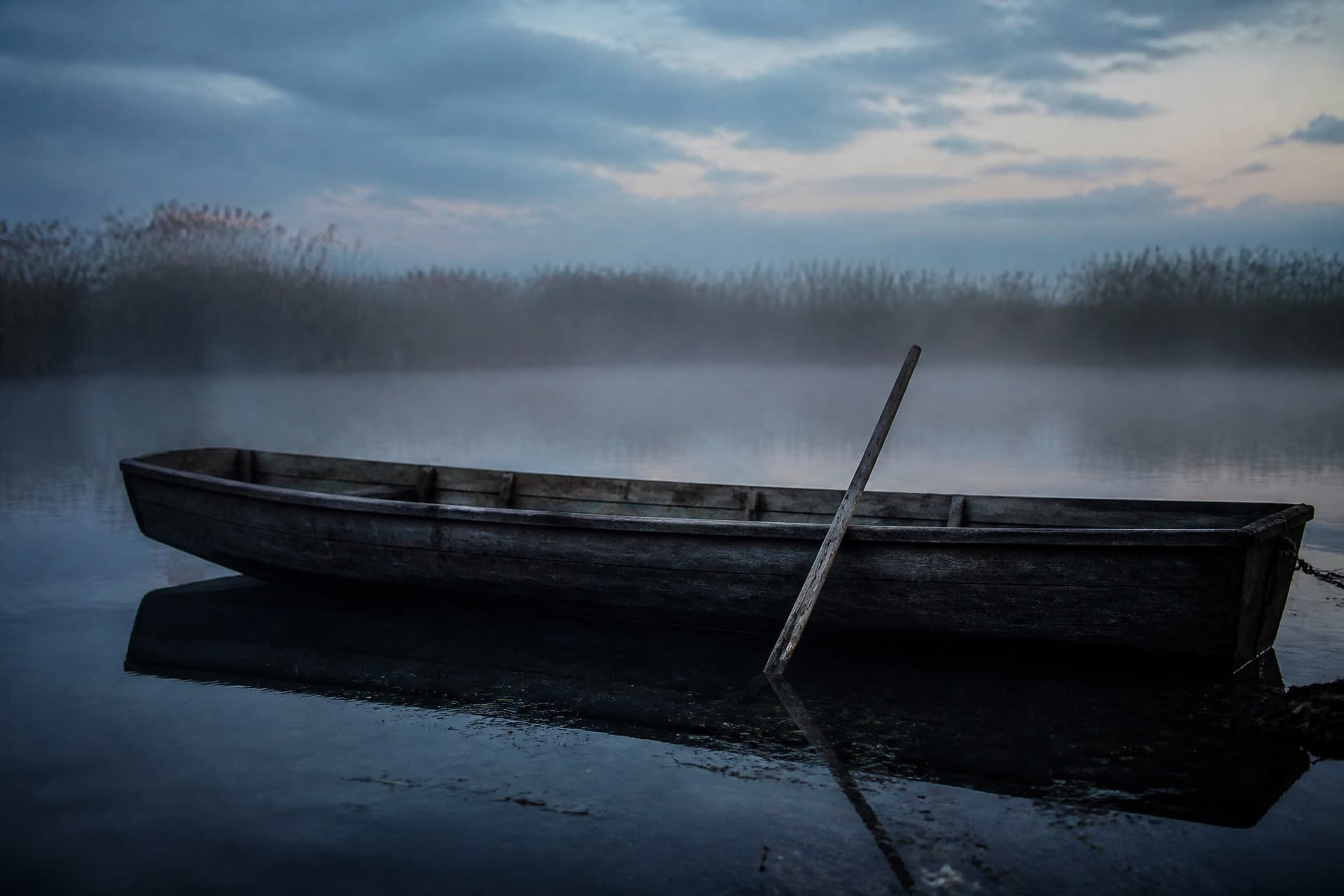 A long weathered wooden pole leaning against the side of a moored flat-bottomed wooden boat on dark still water at first light, low mist across the surface and a soft reed bank behind