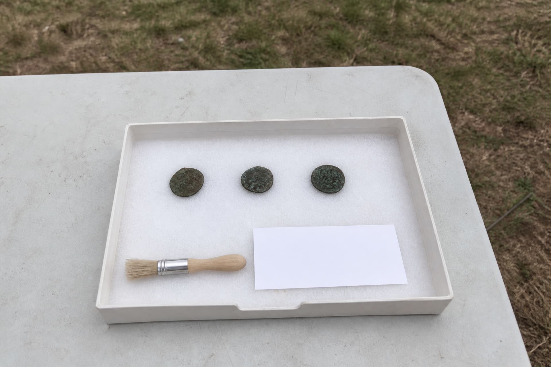 A shallow archaeologist's finds tray on a folding table outdoors in flat overcast daylight, holding three small corroded green and brown coins resting on white foam beside a soft brush and a blank paper label