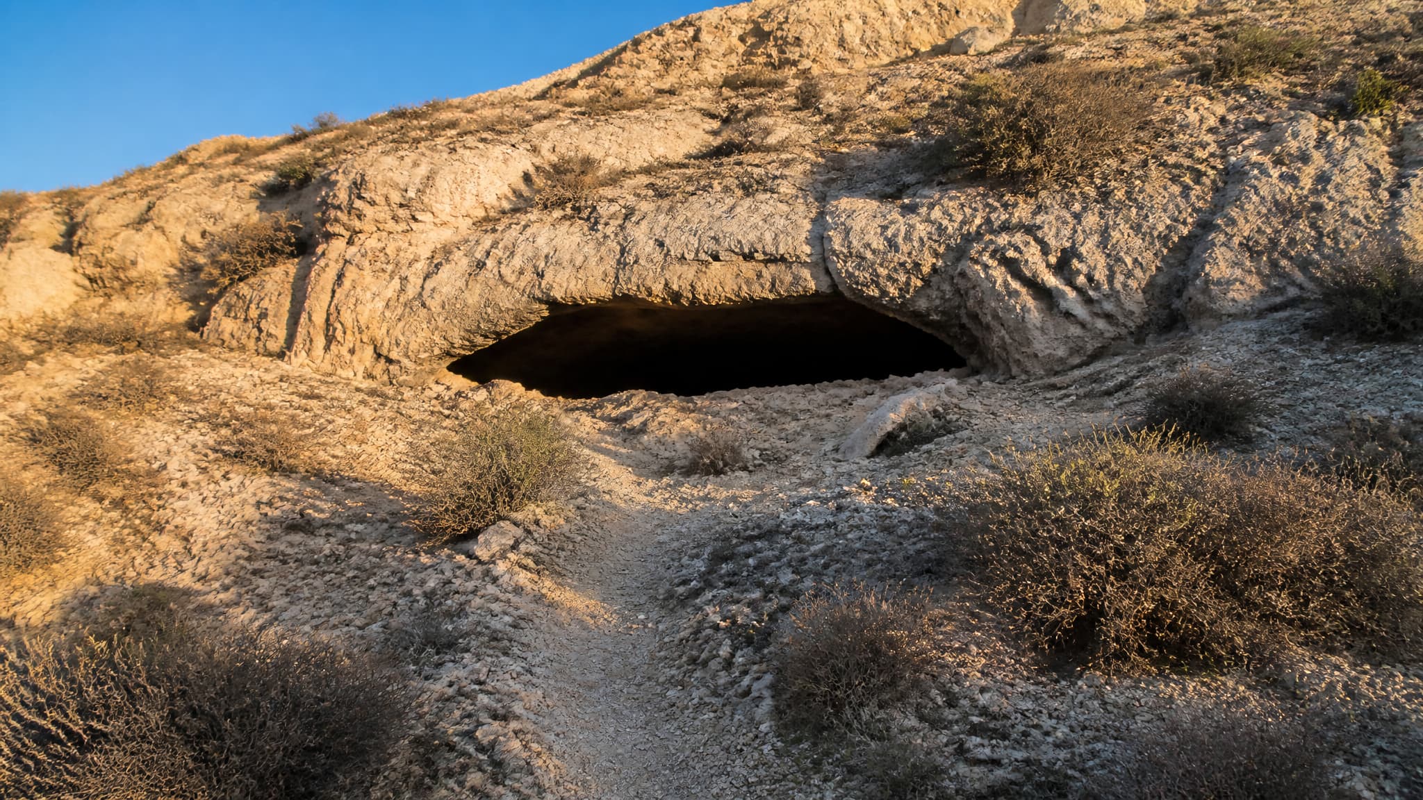 A dark limestone cave mouth opening in an arid North African hillside at first light, with pale rock, low scrub and a worn path leading in