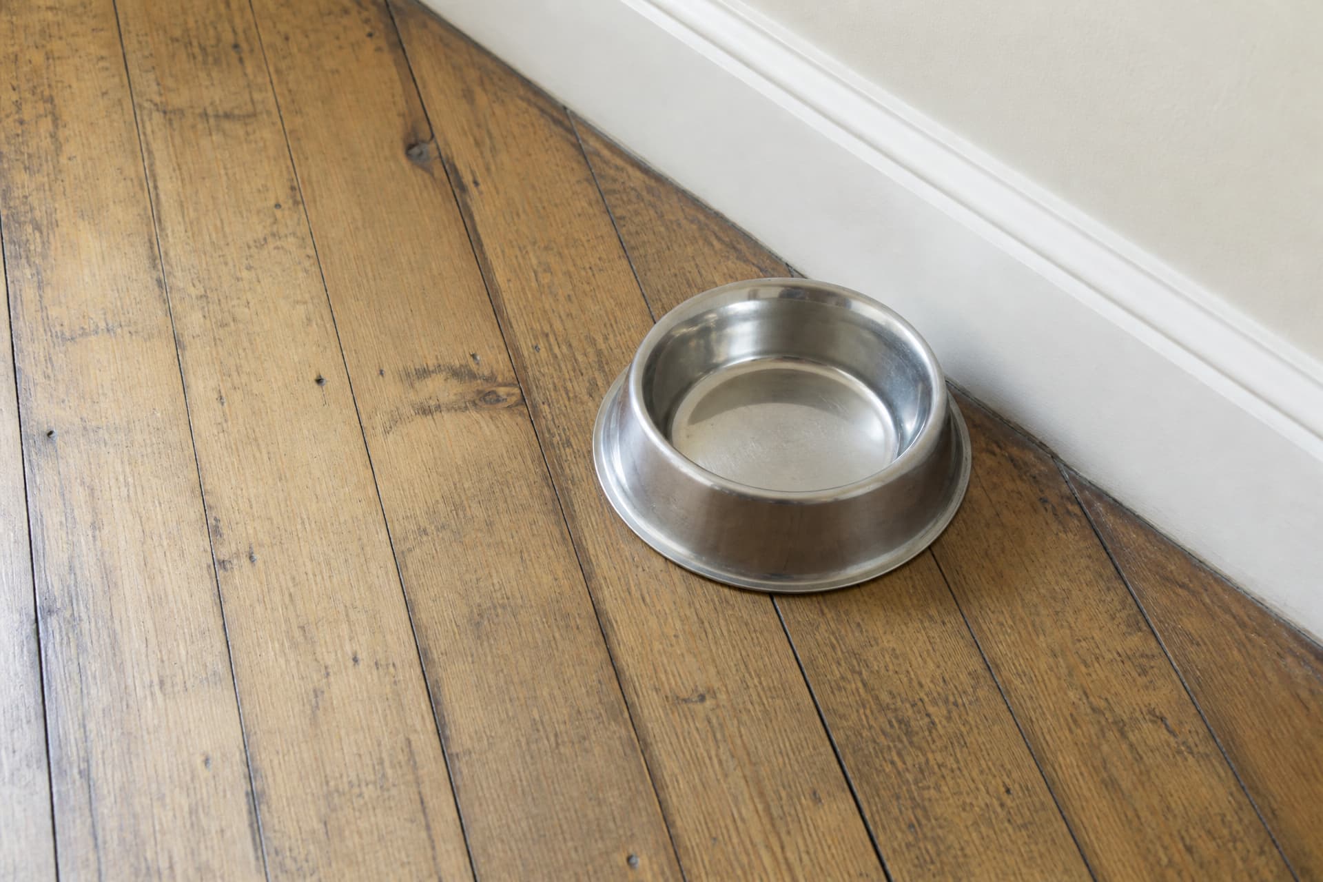 An empty pet food bowl on a kitchen floor in ordinary daylight