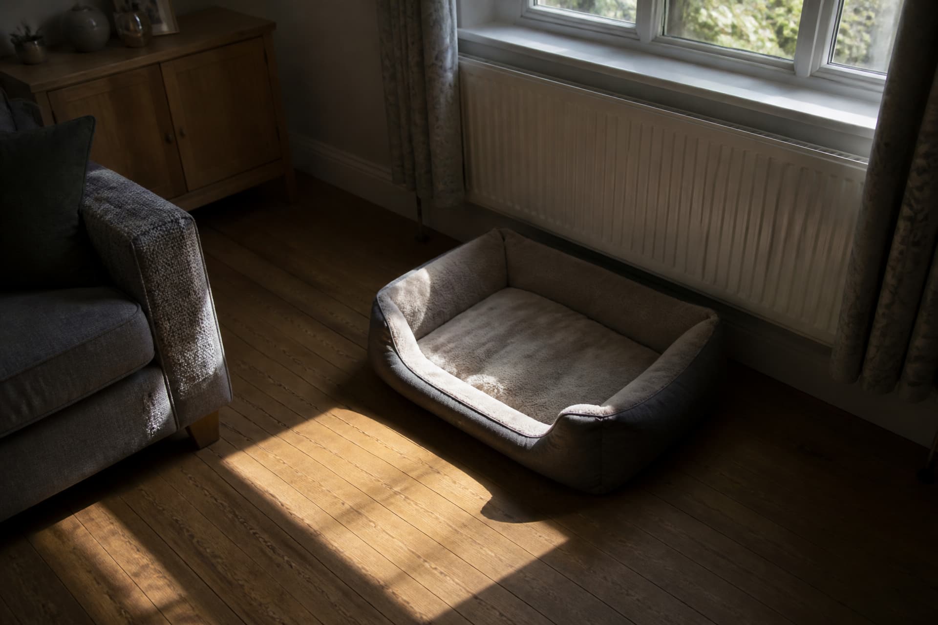 An empty dog bed beside a radiator under a window, late afternoon light across it