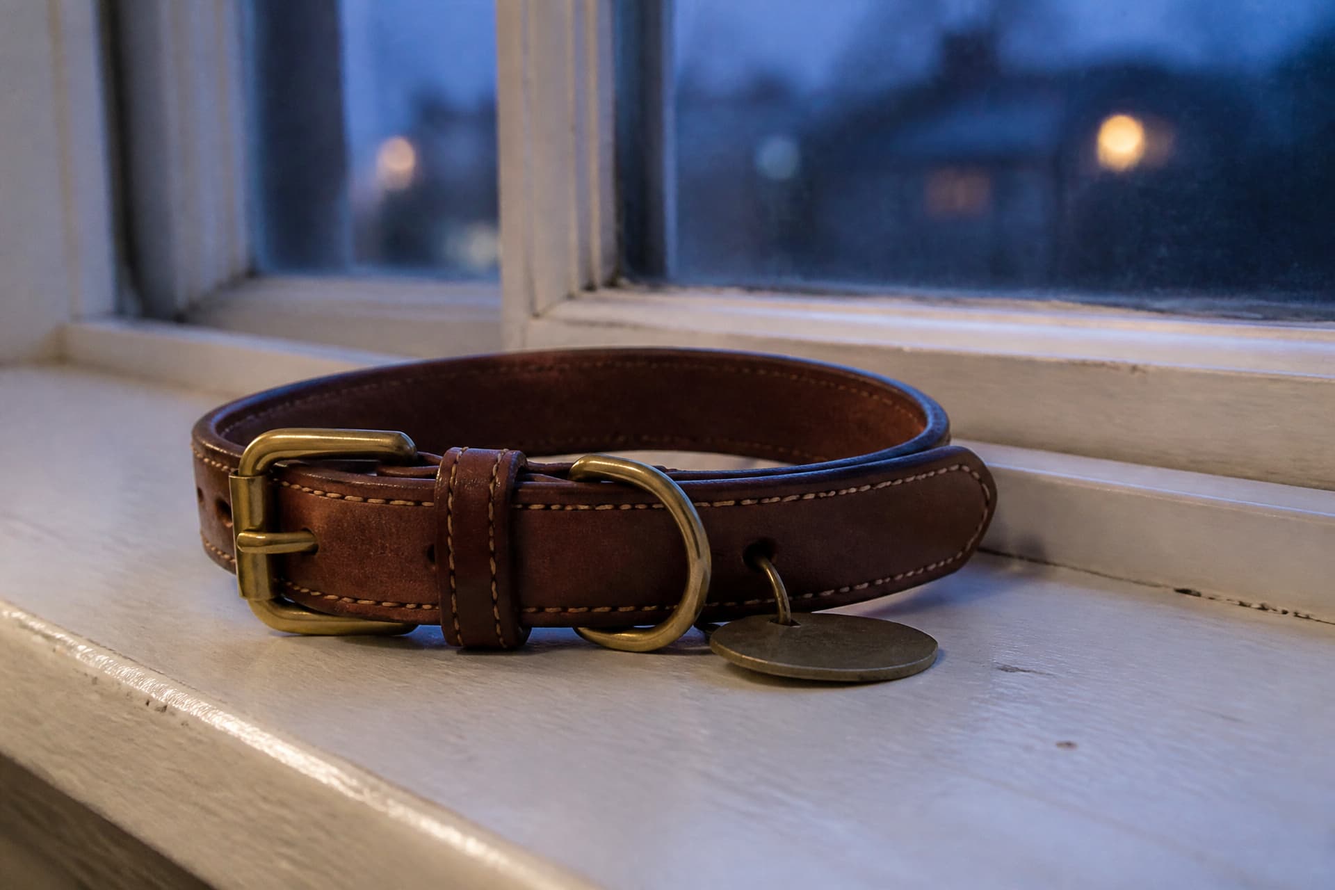 A single dog collar resting on a windowsill at dusk