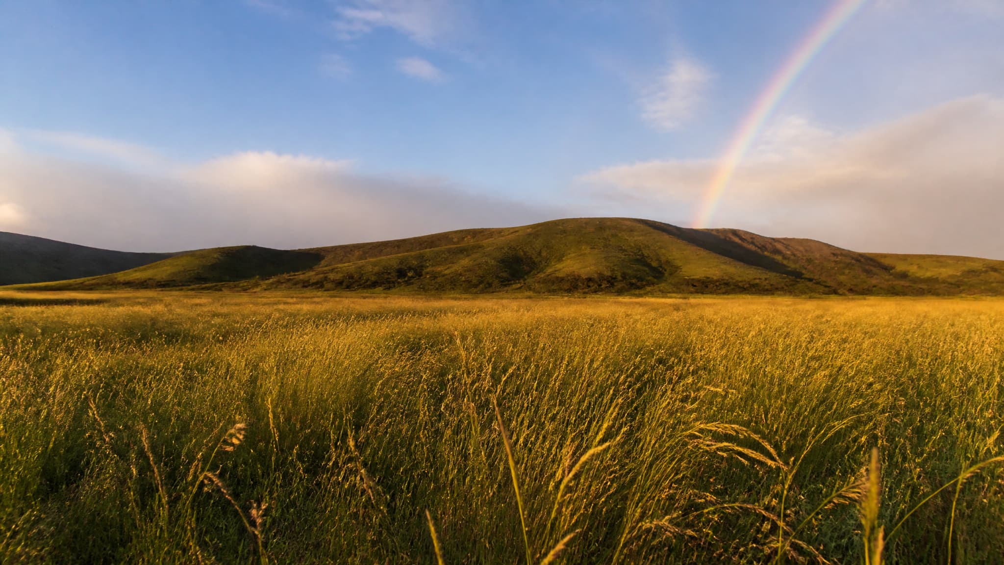 A wide green meadow at golden hour beneath a faint rainbow, empty of people and animals