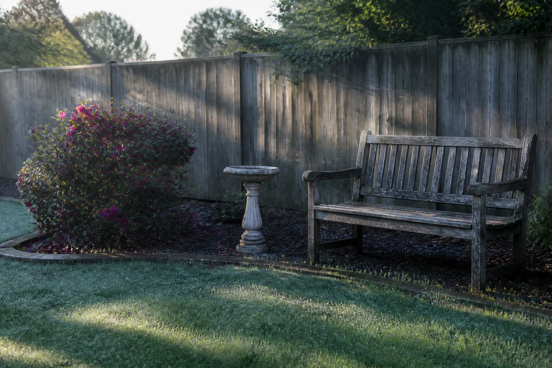 A small backyard memorial corner at first light with a weathered bench, a low bird bath and one flowering shrub