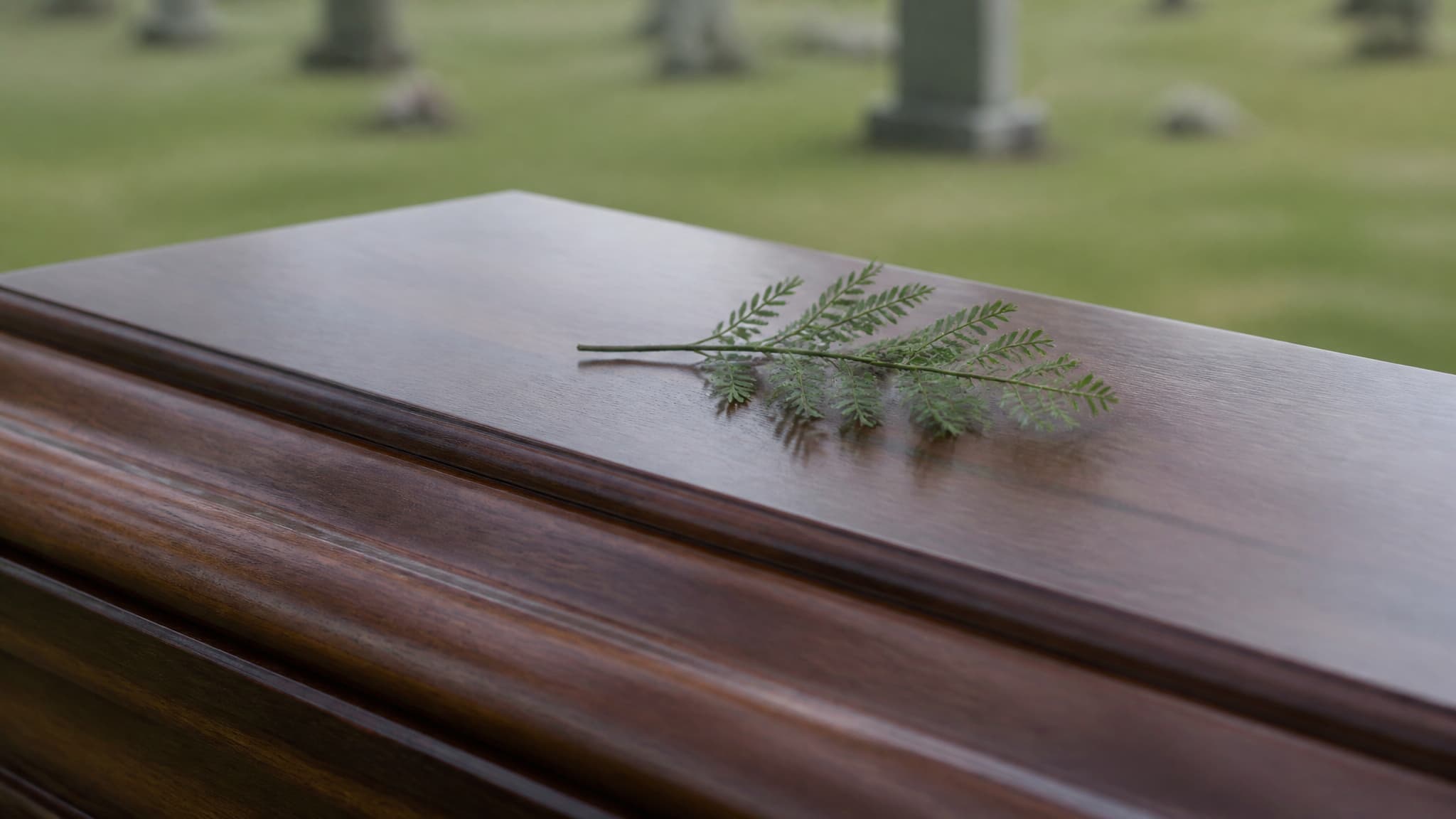 A small green acacia sprig resting on the polished dark wood lid of a closed casket at a graveside