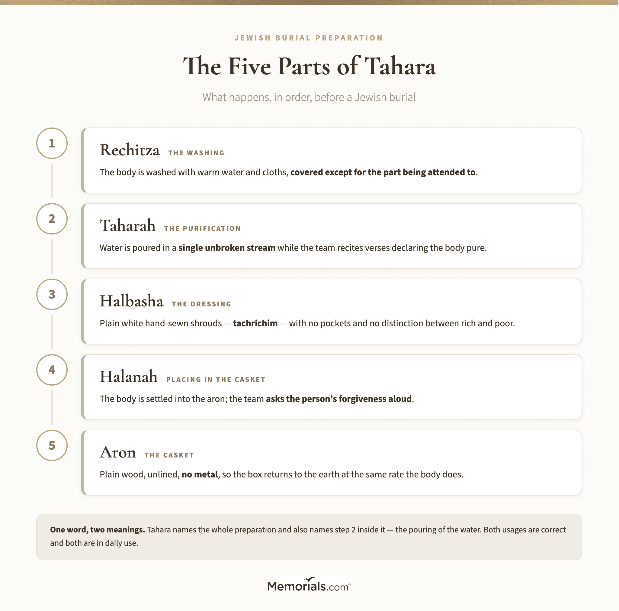 The five named components of tahara in order, with the Hebrew term, its English gloss and one line on what happens at each step