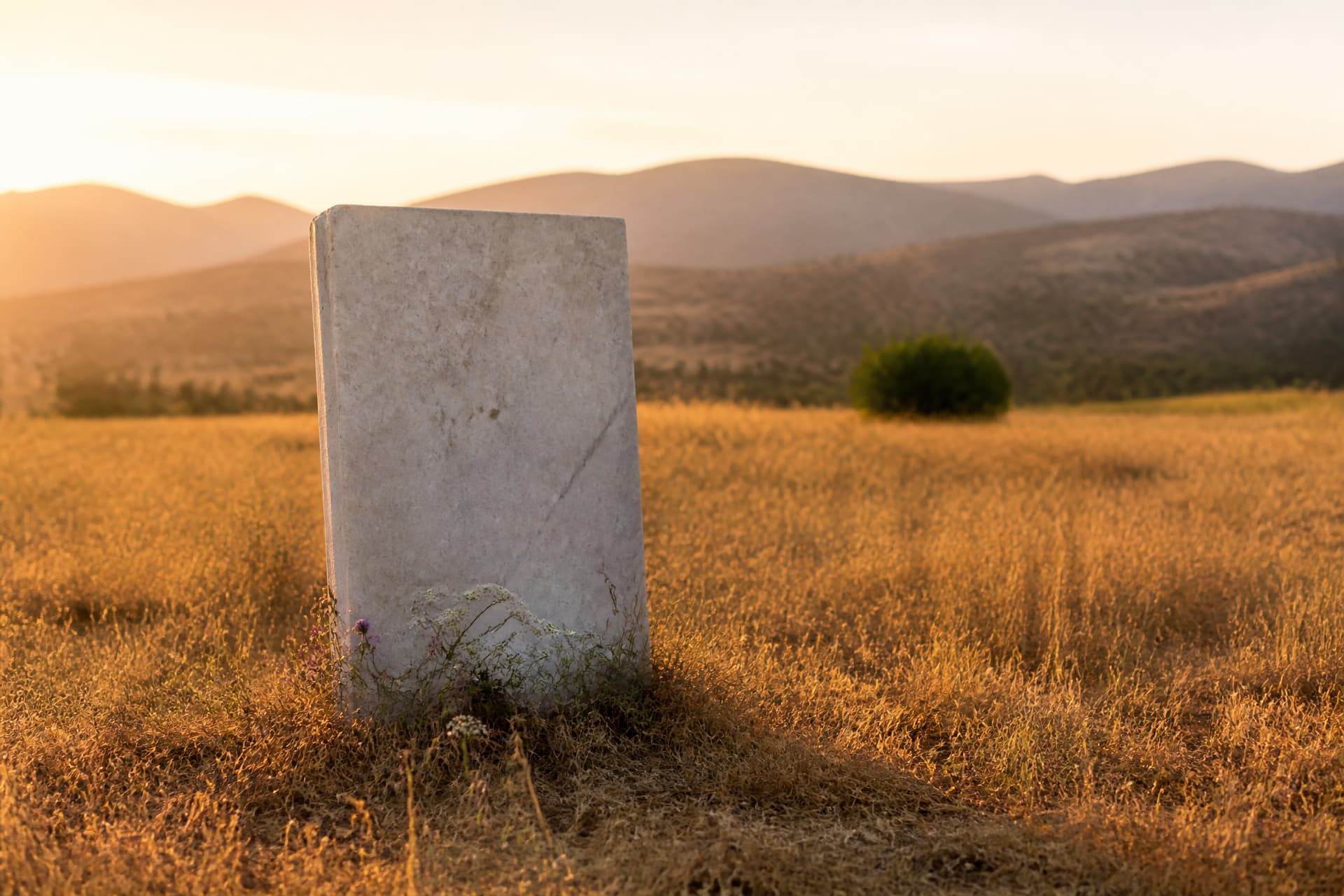 A low plain upright marble slab standing unmarked in dry summer grass at golden hour, wildflowers at its base, soft out-of-focus hills behind