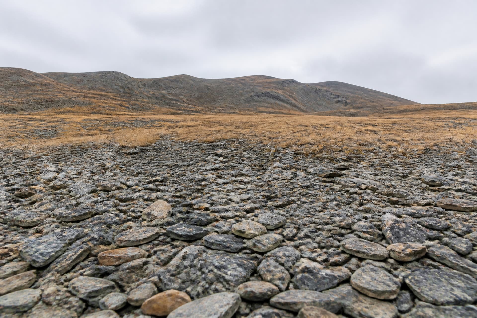 A wide expanse of rocky, treeless high ground under a pale sky, with bare scree in the foreground and distant ridgelines