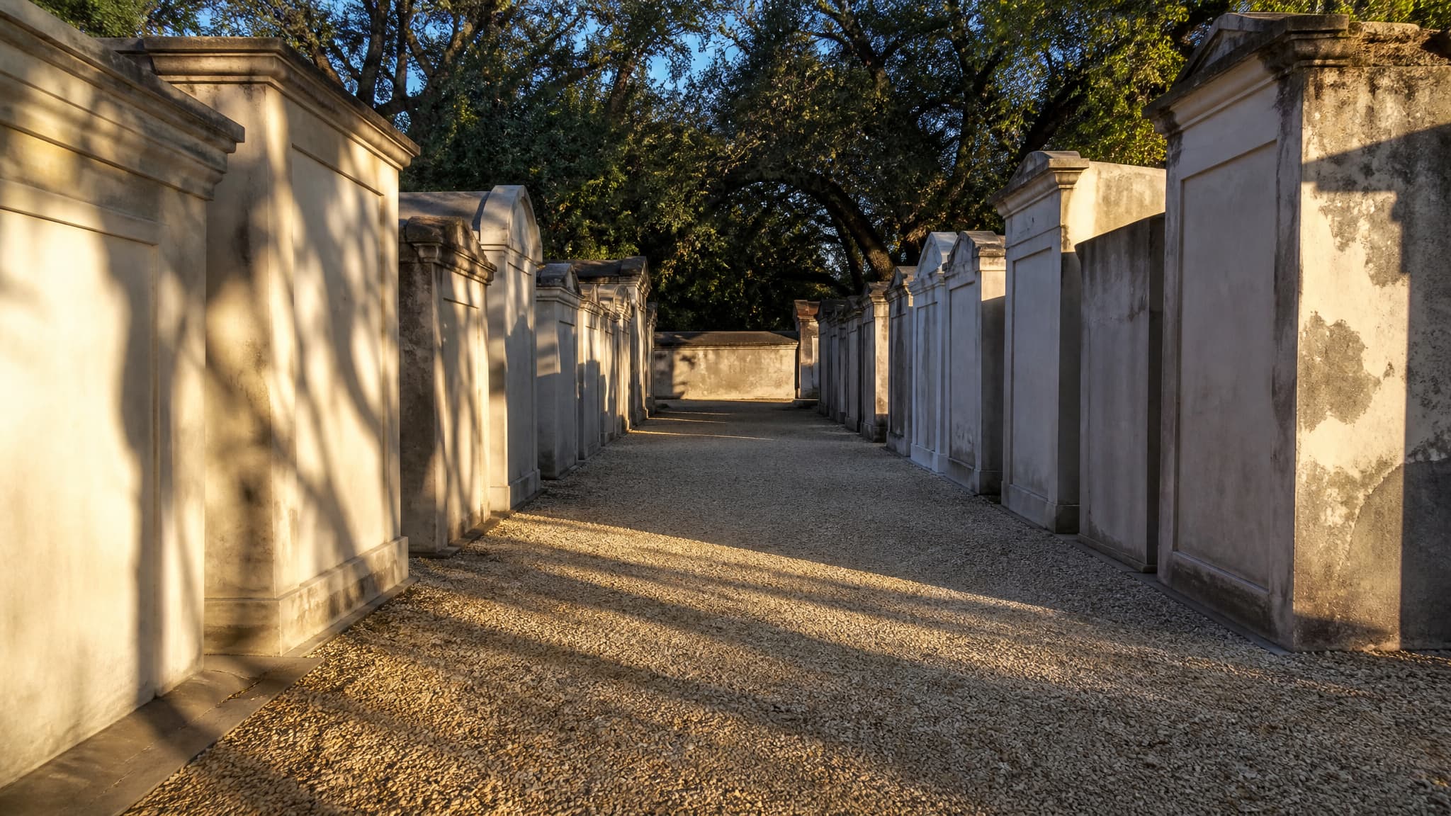 Rows of whitewashed above-ground tombs in a walled Louisiana cemetery at sunrise, long live oak shadows falling across a shell-gravel path