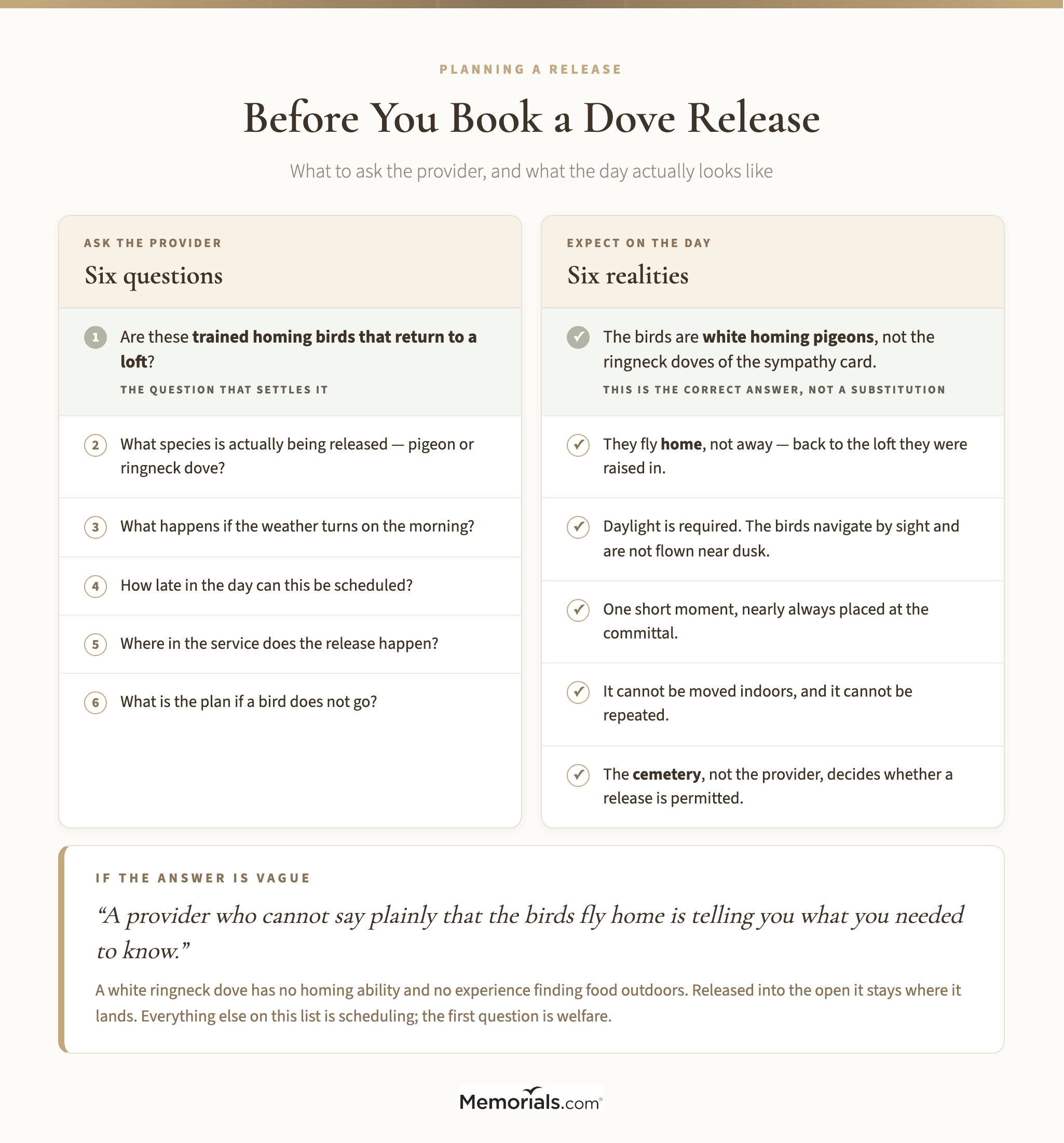 A two-column checklist of questions to ask a dove release provider alongside what a family should expect on the day