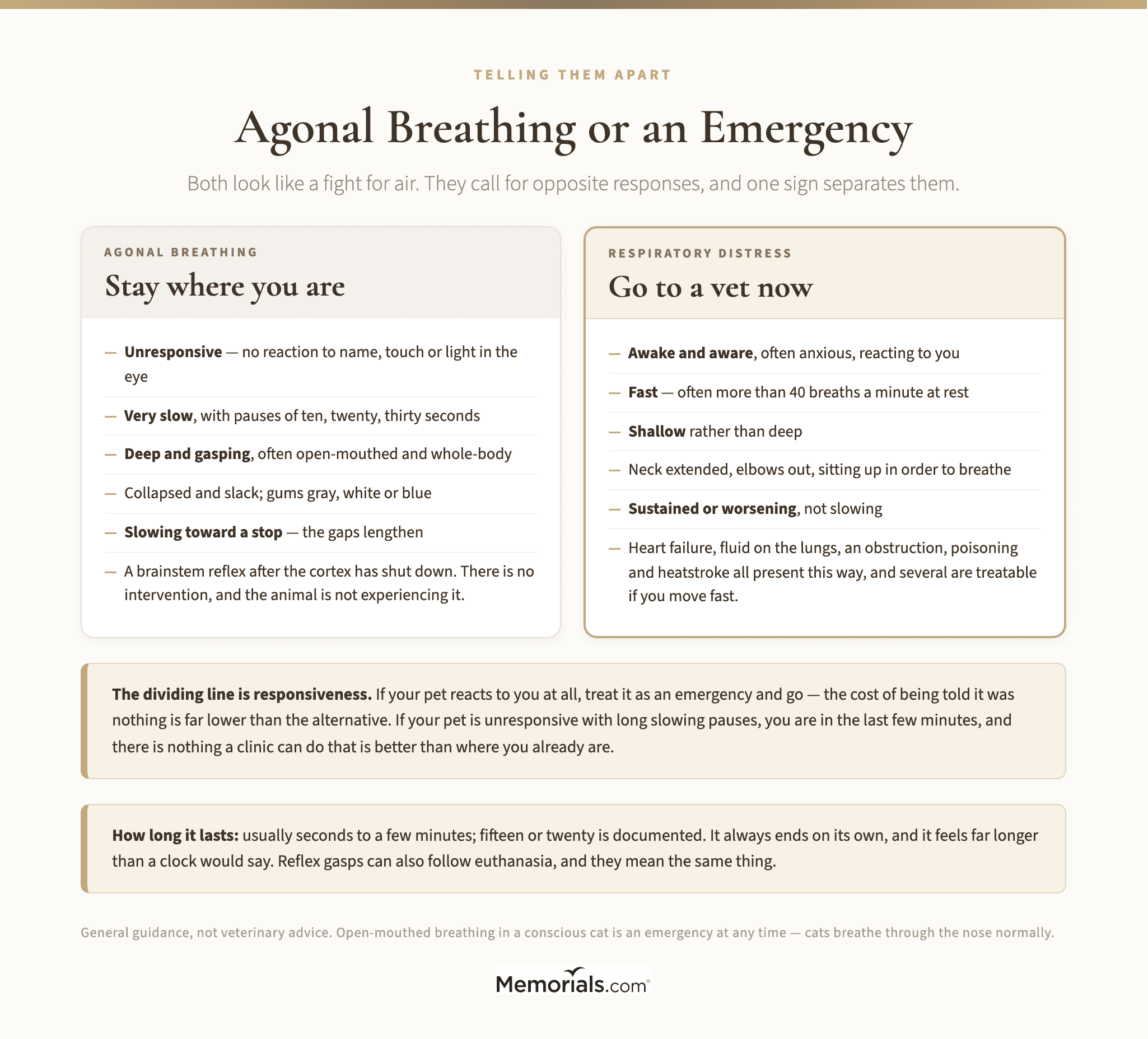 Agonal Breathing or an Emergency: How to Tell