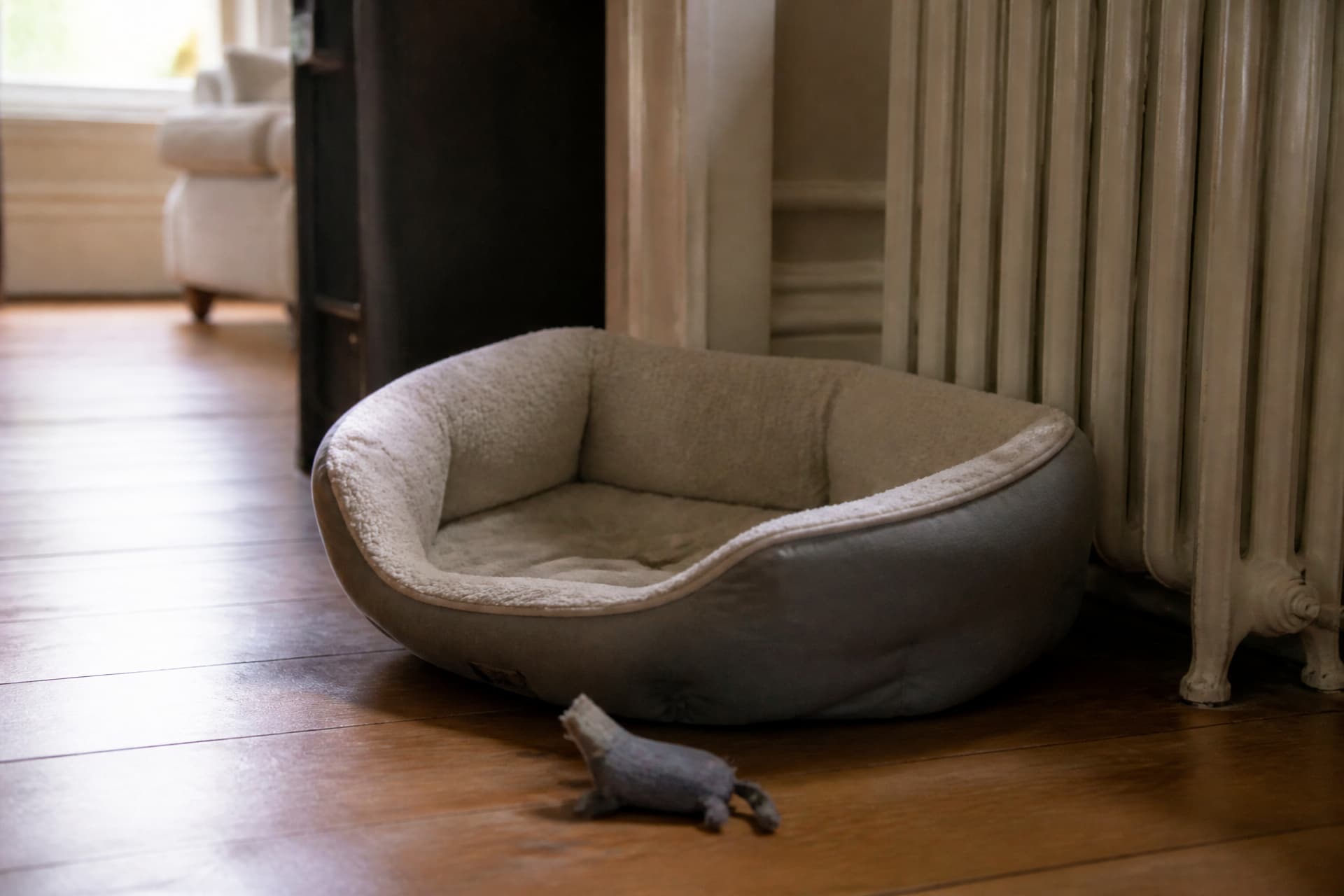 An empty cushioned cat bed on a wooden floor beside a radiator in soft afternoon light, a small worn fabric toy lying just outside it, the room quiet and otherwise tidy