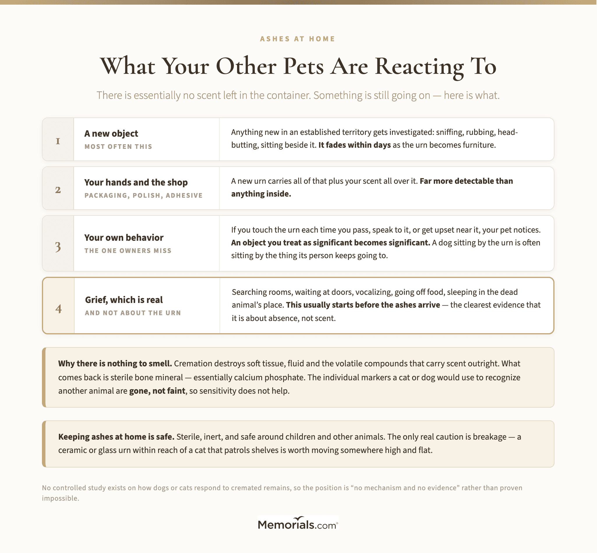What Your Other Pets Are Actually Reacting To