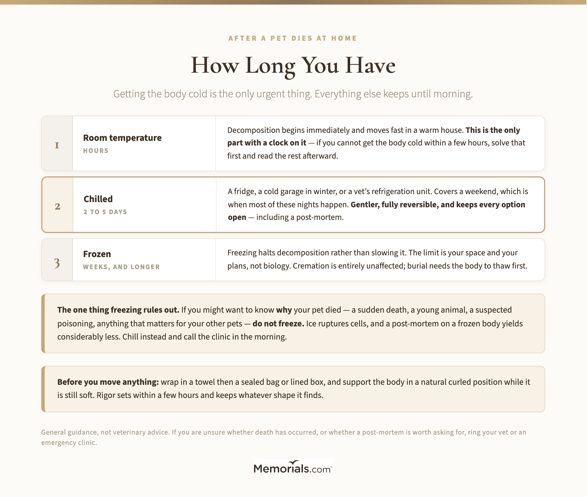 How Long You Have, and What Each Option Costs You
