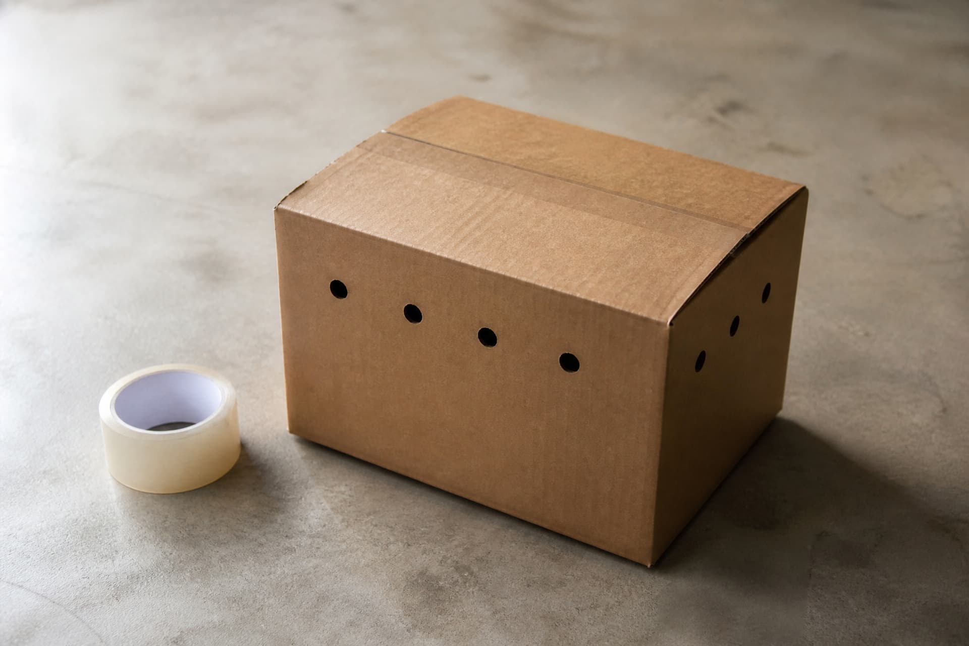A sturdy cardboard pet carrier box lined with a folded gray blanket, closed and resting on a clean concrete floor in soft daylight, a roll of tape beside it, nothing else in the frame