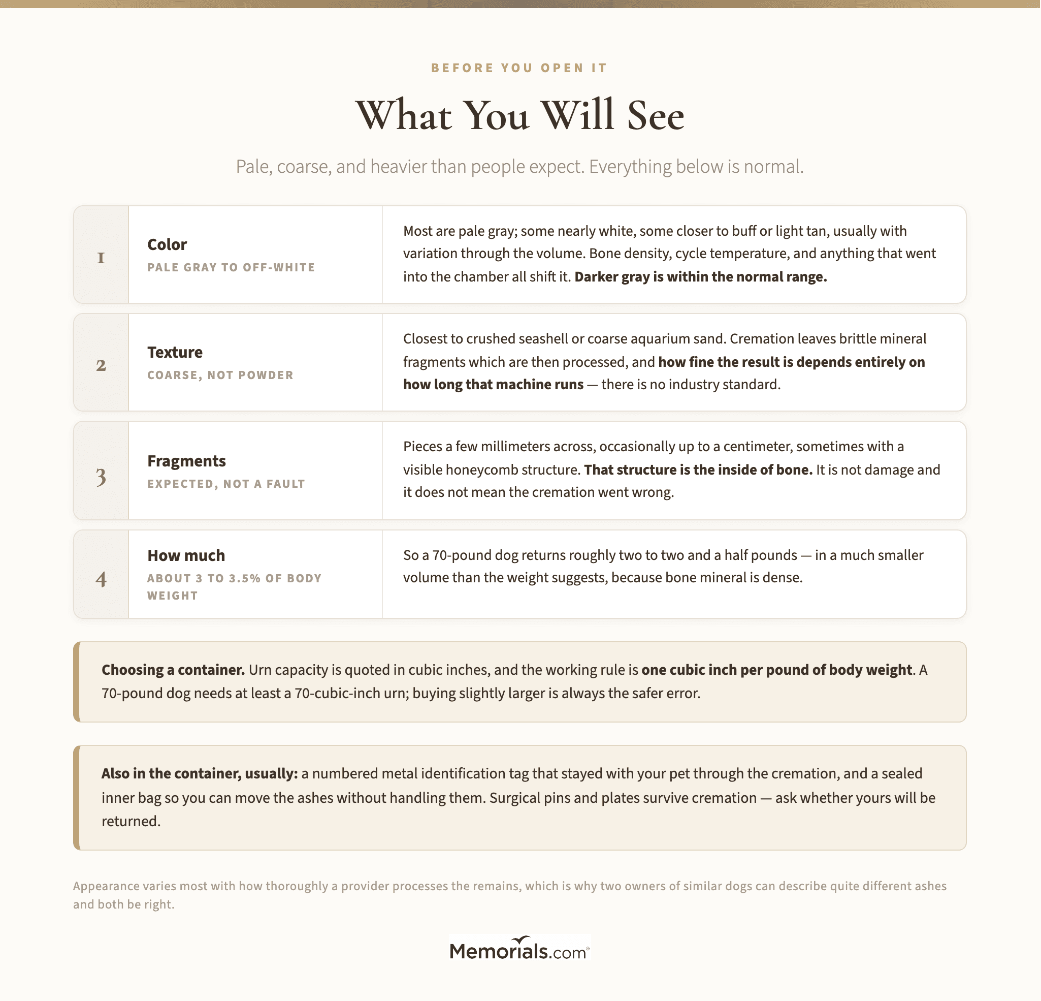 What You Will See, and How Much There Is