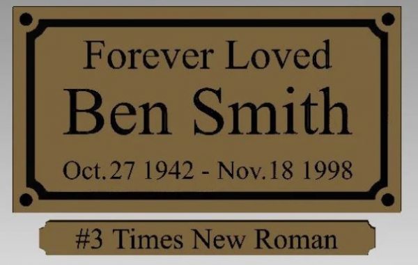 #3 Times New Roman