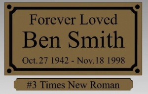 #3 Times New Roman