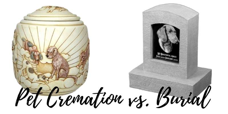 Choosing Between Pet Cremation vs Pet Burial