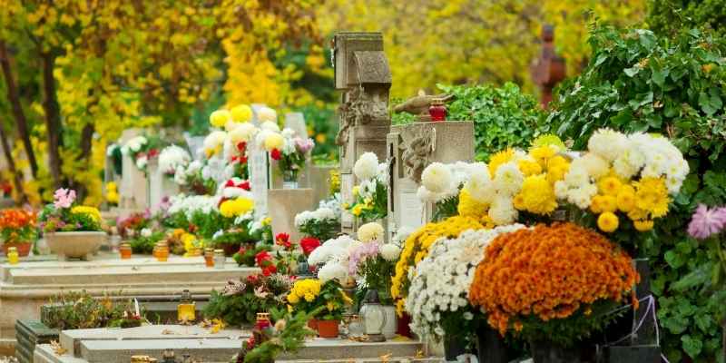 Cemetery with Flowers