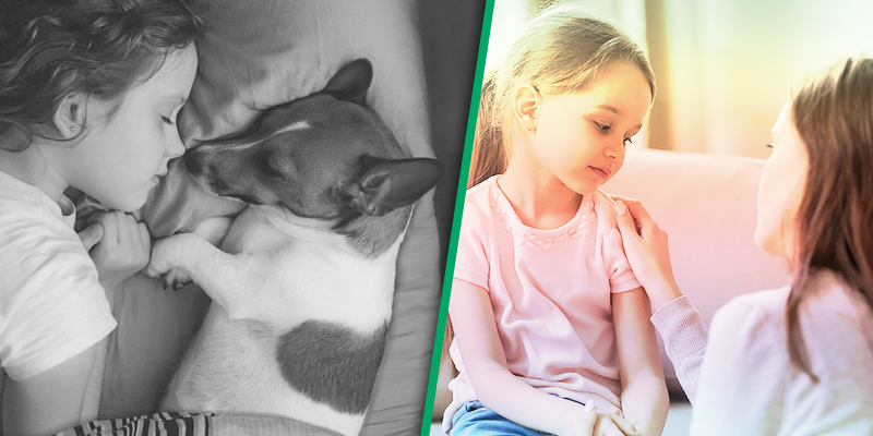 Helping kids manage their grief of a pet's death