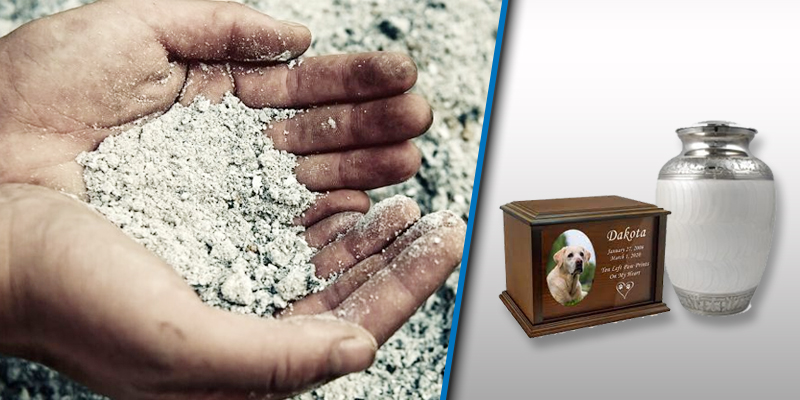 Mixing Your Ashes With Your Pet