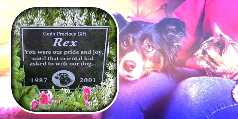 Funny And Lighthearted Pet Epitaph Examples
