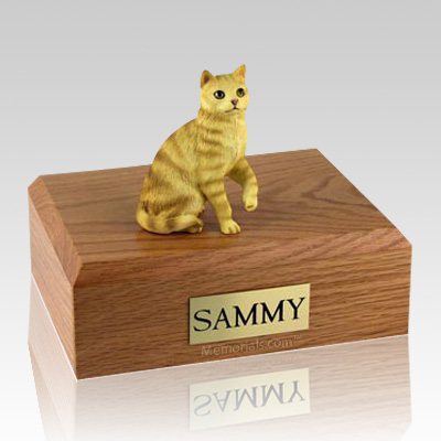 cat all files in directory