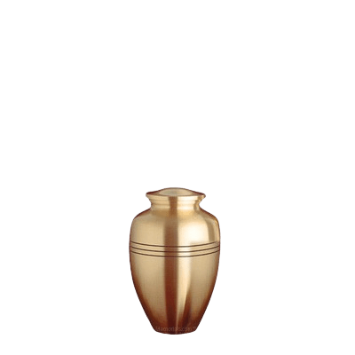 Trenton Bronze Small Cremation Urn