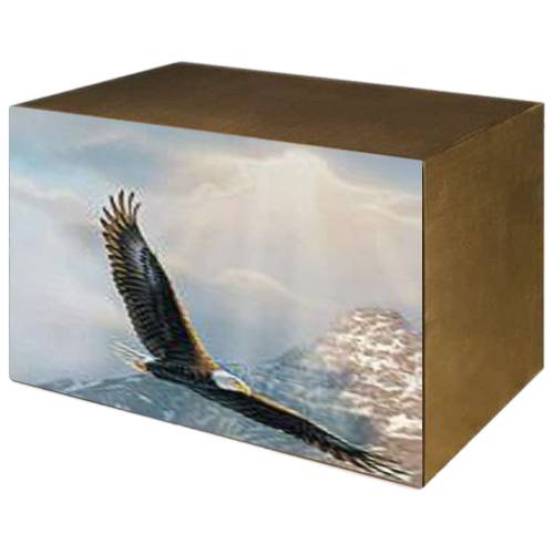 Guiding Eagle Bronze Urn