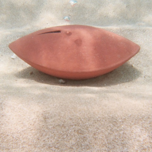 Memento Coral Biodegradable Urn