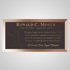 Line Drive Bronze Plaque