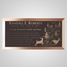 Waterfall Bronze Plaque