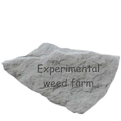 Experimental Weed Farm Stone