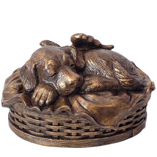 Angel Dog Large Cremation Urn Bronze