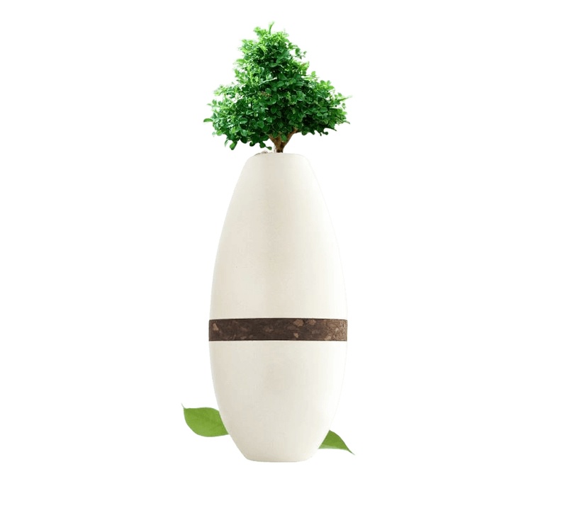 Living Tree Urn