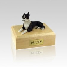 Boston Terrier Medium Dog Urn