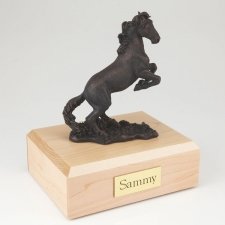 Bronze Medium Horse Cremation Urn