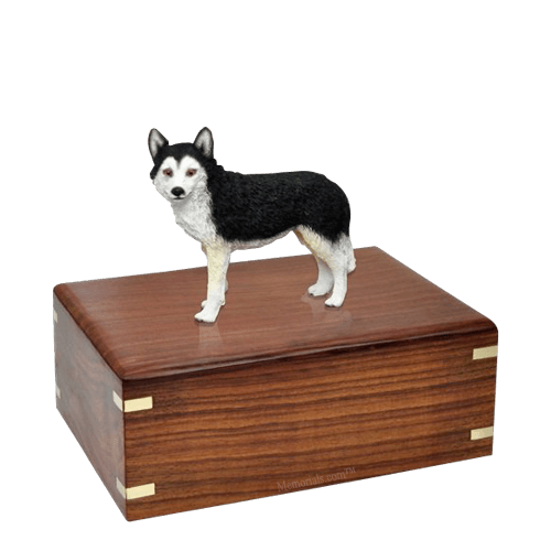 Brown Eyed Husky Medium Doggy Urn