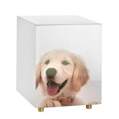 Buddy Portrait Small Dog Urn