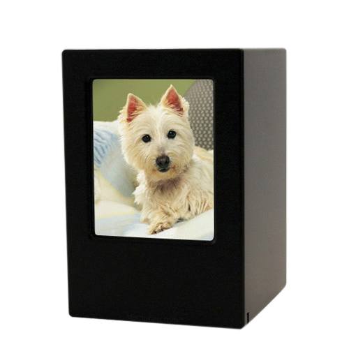 Black Pet Medium Photo Wood Urn