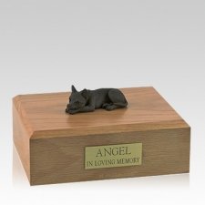 Chihuahua Chocolate Lying Large Dog Urn