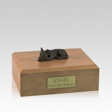 Chihuahua Chocolate Lying Medium Dog Urn