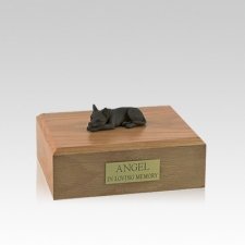 Chihuahua Chocolate Lying Small Dog Urn