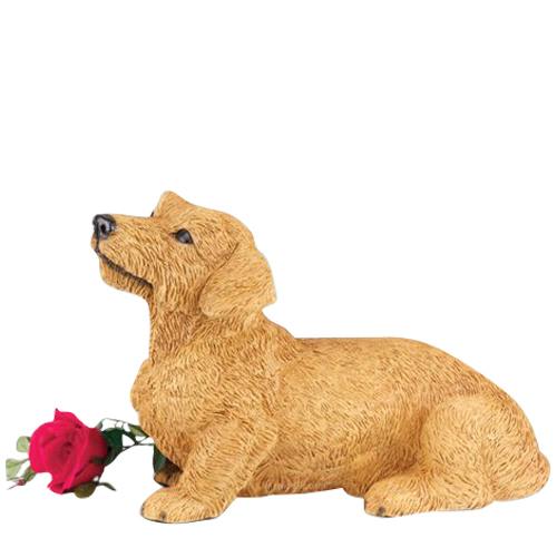 Dachshund Red Wirehair Cremation Urn