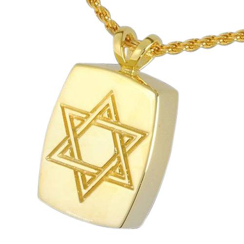 Davids Star Cremation Pendant IV