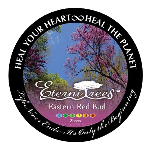 Eastern Redbud Memorial Tree Urn