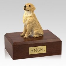 Golden Retriever Blond Sitting Large Dog Urn